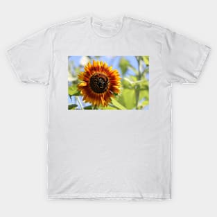 Sun Flower T-Shirt